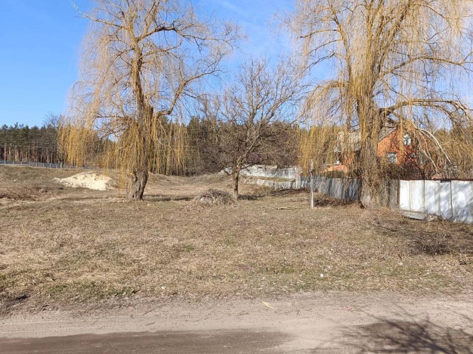 1000variantiv Real Estate