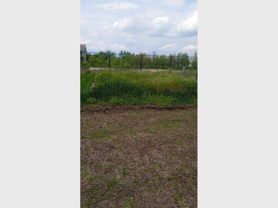 flat
