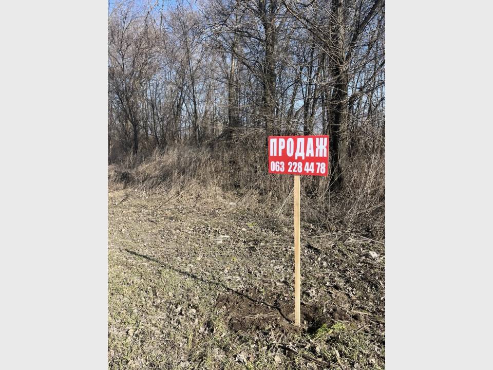 1000variantiv Real Estate