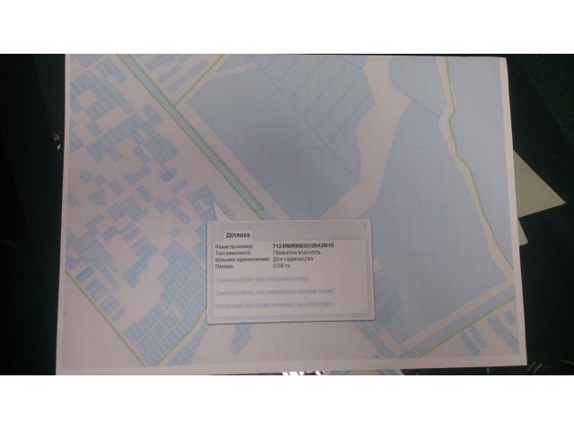 1000variantiv Real Estate